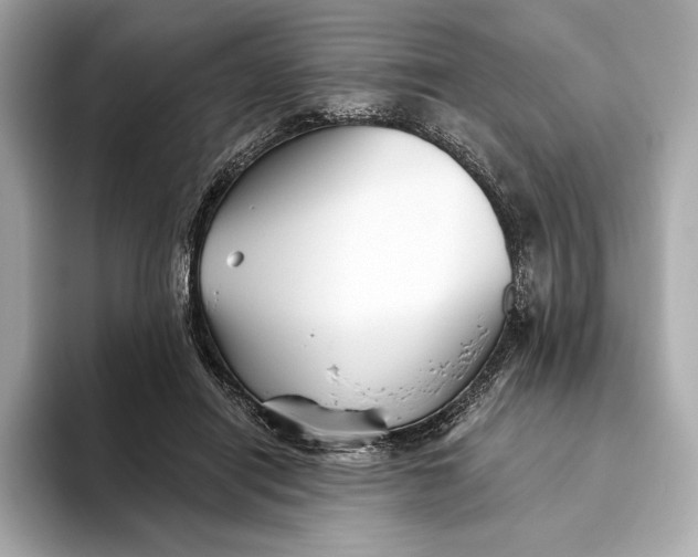 X0000093500454200711021013