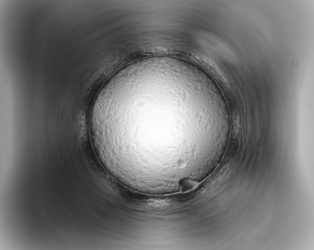 X0000093500457200711021013