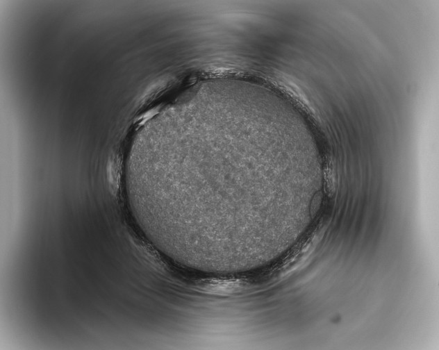 X0000093500458200711021013