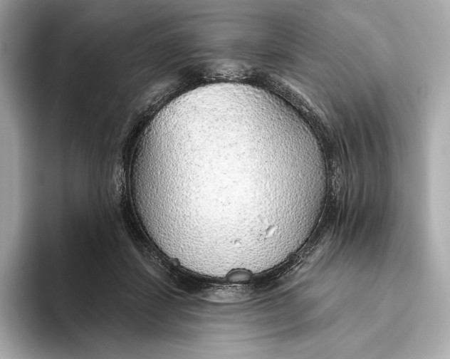 X0000093500459200711021013