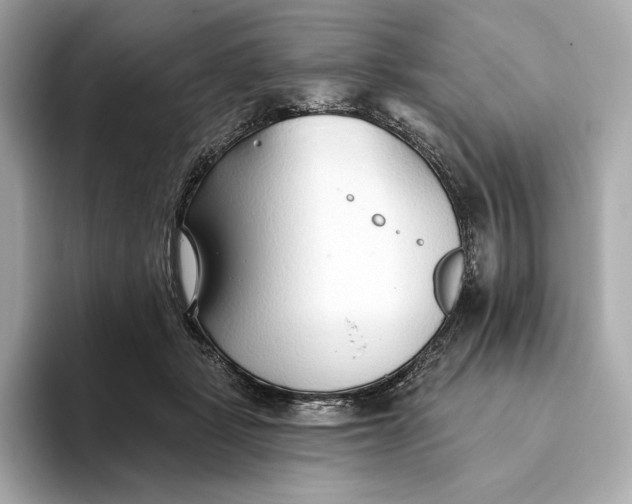 X0000093500461200711021013