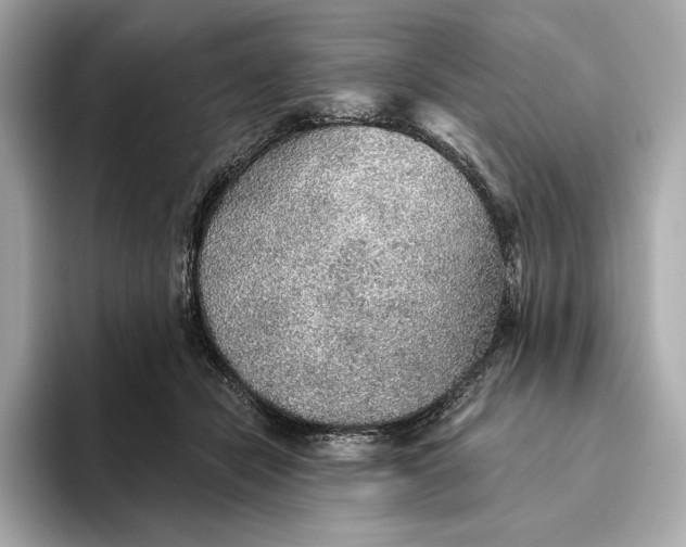 X0000093500462200711021013