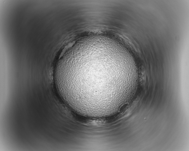 X0000093500466200711021013