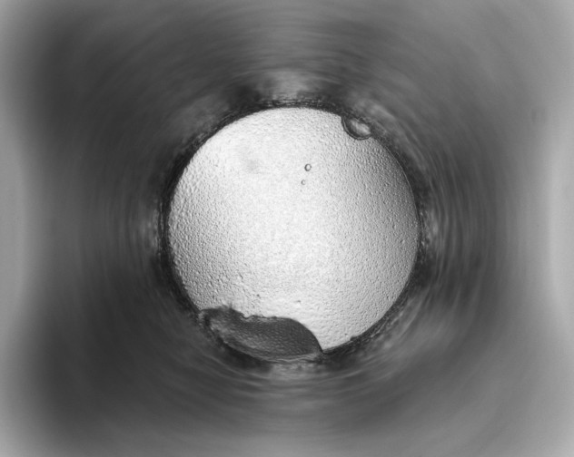 X0000093500470200711021013