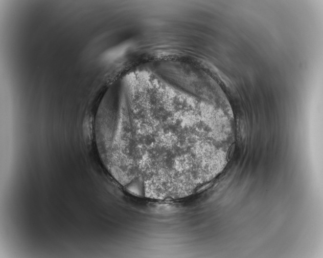 X0000093500475200711021013