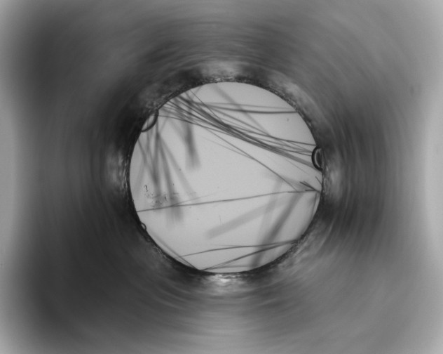 X0000093500477200711021013