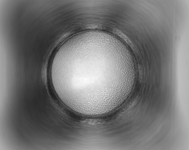 X0000093500482200711021012