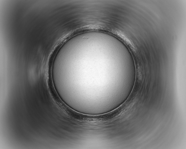 X0000093500486200711021012