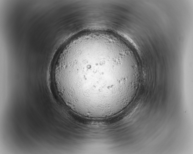 X0000093500487200711021012