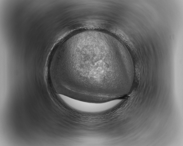 X0000093500488200711021012
