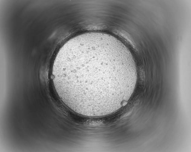 X0000093500491200711021012