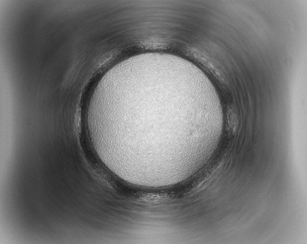 X0000093500494200711021012