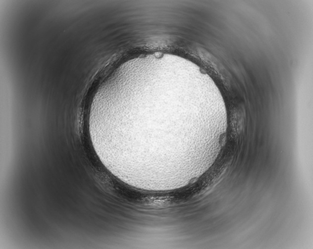 X0000093500495200711021012