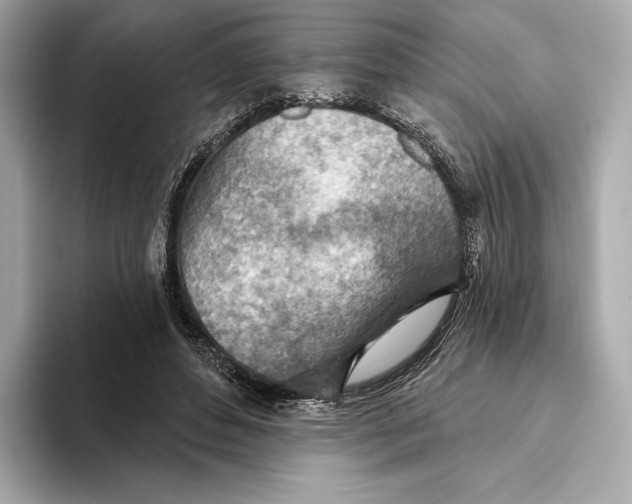 X0000093500496200711021012