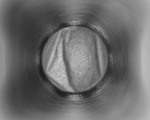X0000093500499200711021012