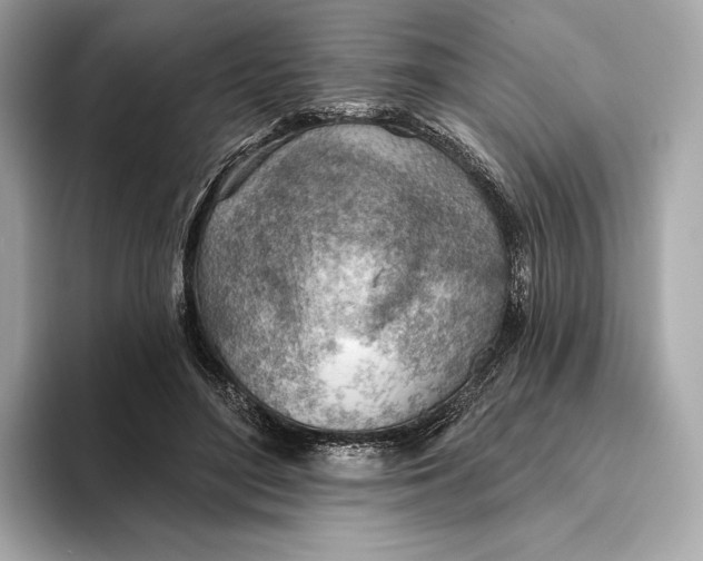 X0000093500500200711021012