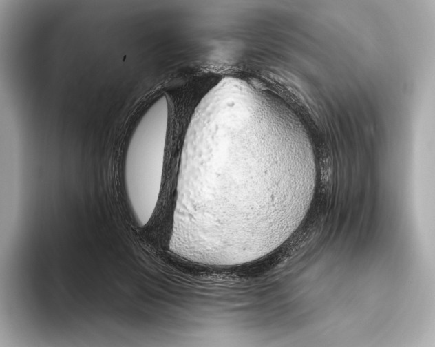 X0000093500503200711021012