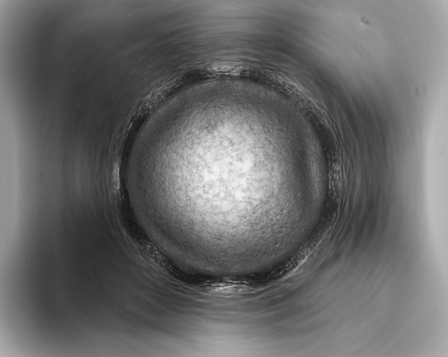 X0000093500504200711021012