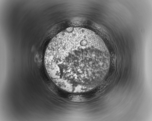 X0000093500507200711021012