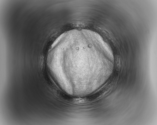 X0000093500511200711021012