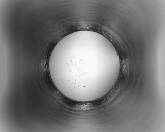 X0000093500514200711021012