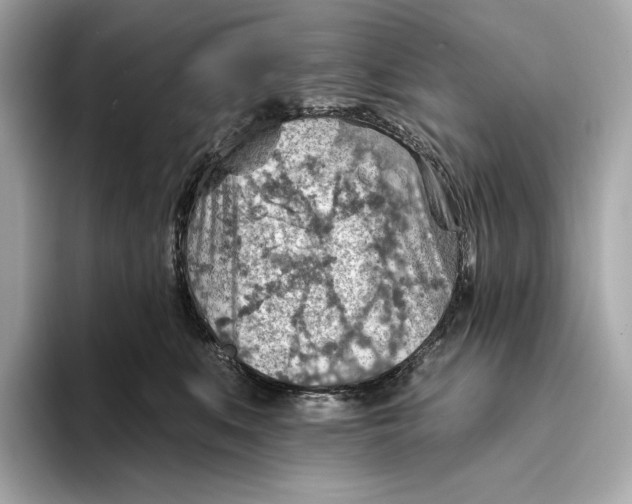 X0000093500519200711021012