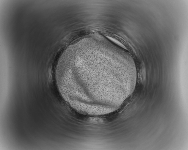 X0000093500520200711021012