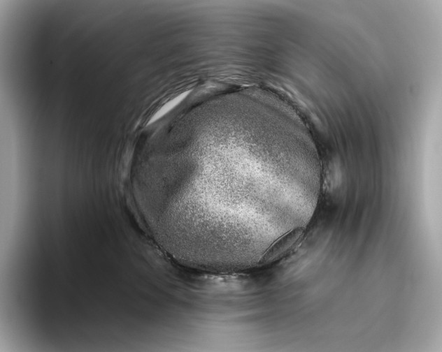 X0000093500524200711021012