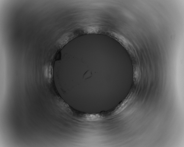 X0000093500525200711021012