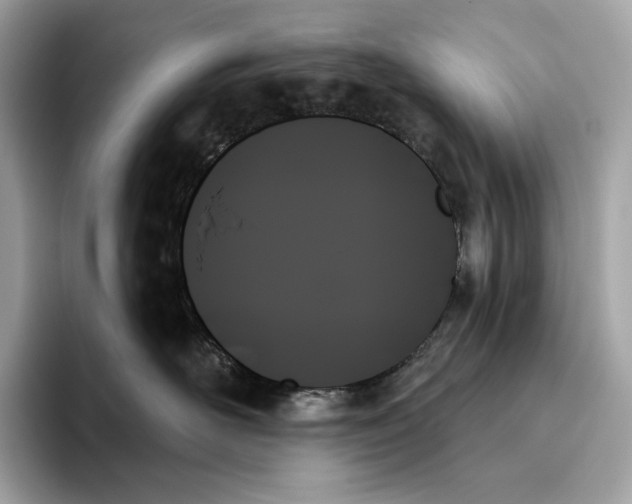 X0000093500526200711021012
