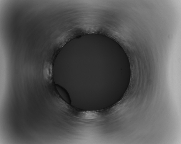 X0000093500528200711021012