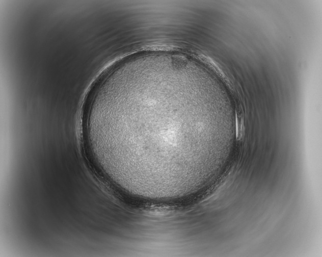X0000093500531200711021011