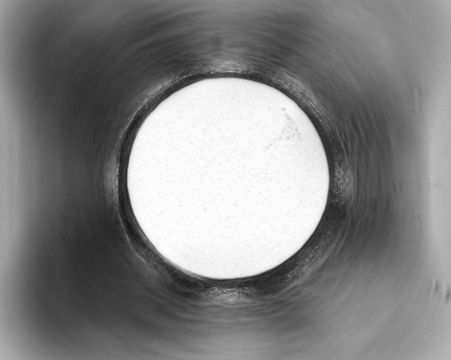 X0000093500534200711021011