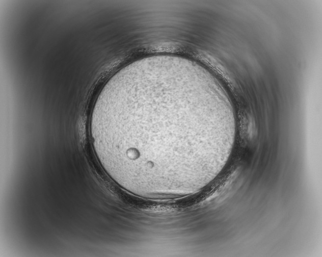 X0000093500537200711021011