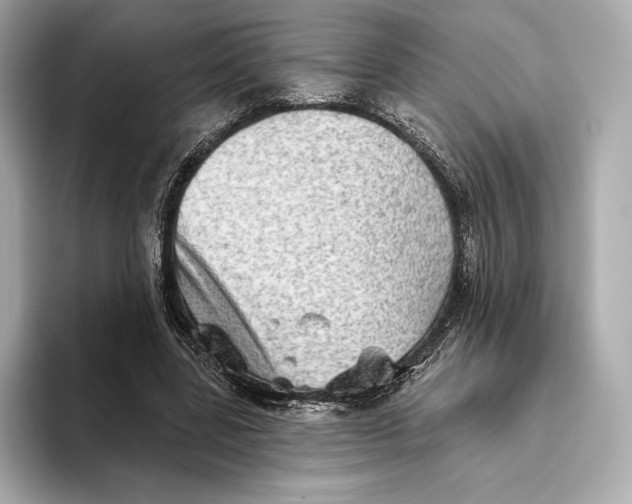 X0000093500539200711021011
