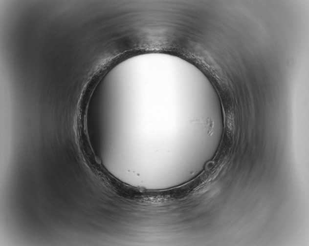 X0000093500540200711021011