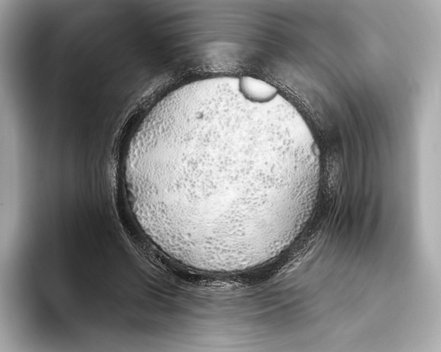 X0000093500542200711021011