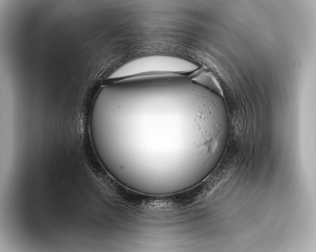 X0000093500546200711021011