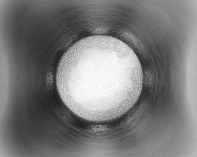X0000093500549200711021011