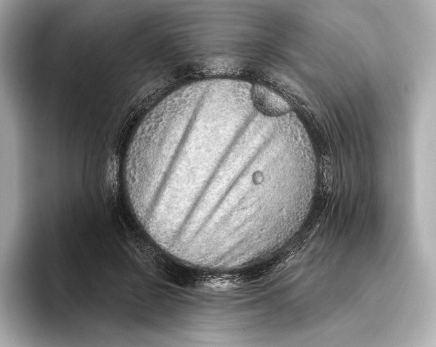 X0000093500550200711021011