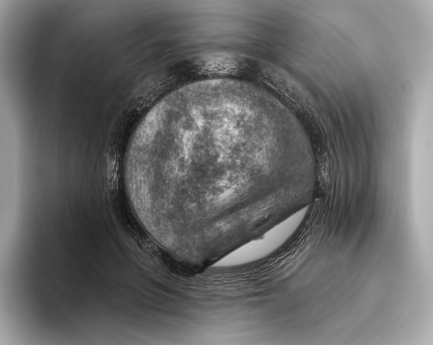 X0000093500551200711021011