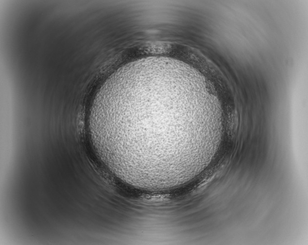 X0000093500553200711021012