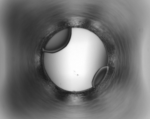 X0000093500556200711021012