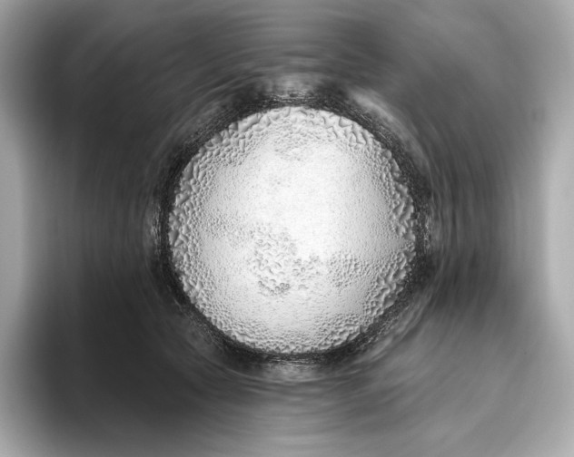 X0000093500561200711021012