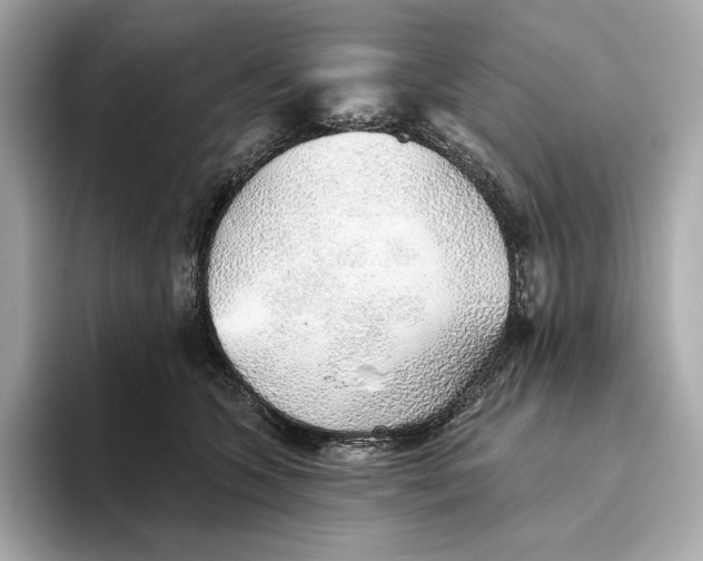 X0000093500563200711021012