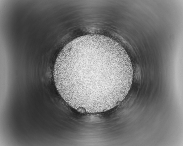 X0000093500569200711021012