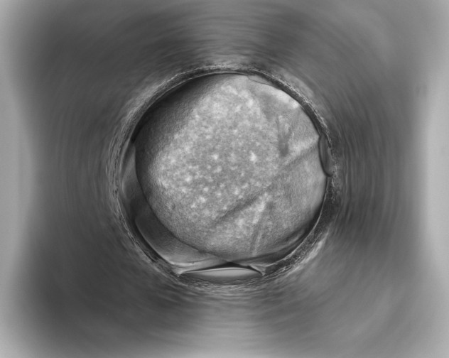 X0000093500577200711021011