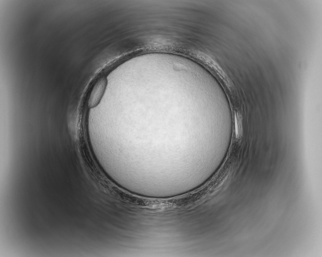 X0000093500579200711021011