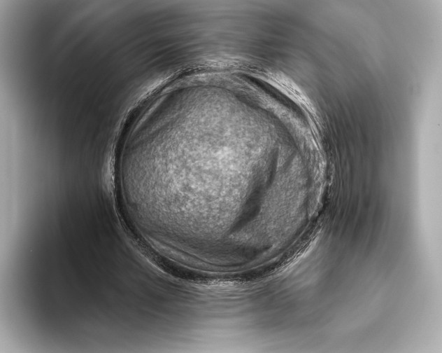 X0000093500581200711021011