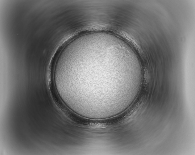 X0000093500582200711021011